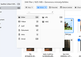 Effektivisera din sökning med filtret "Bilder"