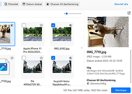 Förhandsgranska bilder innan återställning
