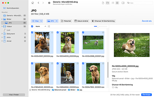 Förhandsgranska och välj filer för återställning Förhandsgranska och välj filer för återställning