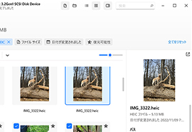 復元前に画像をプレビュー