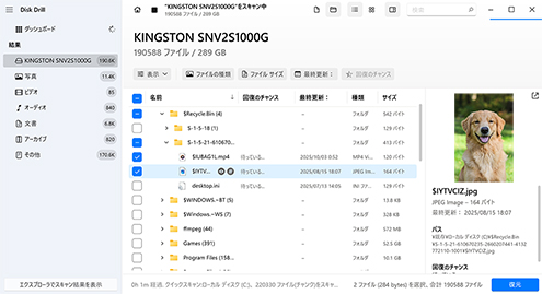見つかったファイルをプレビュー