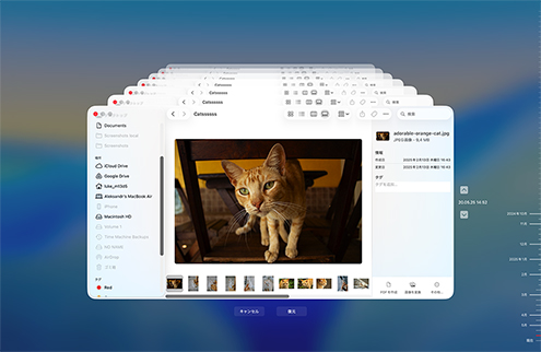 Time Machine バックアップで復元 Time Machine バックアップで復元