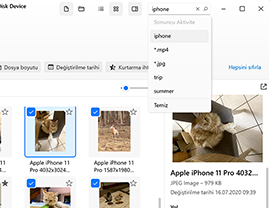 Kurtarılabilir dosyaları yönetin ve bulunan dosyalar içinde arama yapın