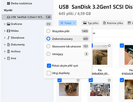 Przejrzyj odtworzone dane