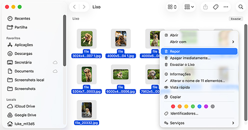 Recuperar da Lixeira do seu Mac
