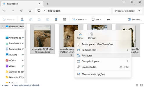 Recuperar diretamente da Lixeira