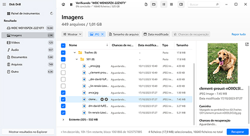Selecione quais arquivos você deseja recuperar do seu disco rígido