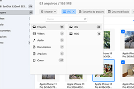 Use filtros para uma busca mais rápida / selecione um tipo de arquivo específico