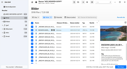 Välj vilka filer du vill återställa från din hårddisk