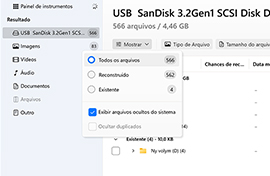 Verifique Todas as Três Pastas de Recuperação