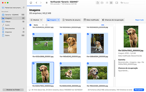 Visualizar e escolher arquivos para recuperação