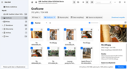 Wybierz pliki do odzyskania