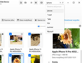 Zarządzaj elementami do odzyskania i przeszukuj znalezione pliki