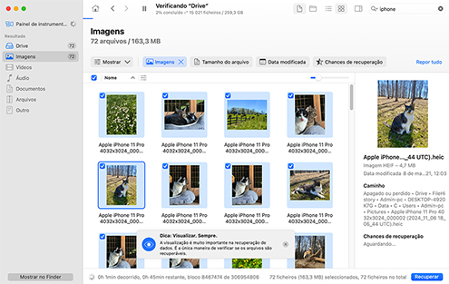 Aguarde até que o software termine a varredura