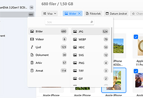 Använd filter för en snabbare sökning eller för att välja en specifik filtyp