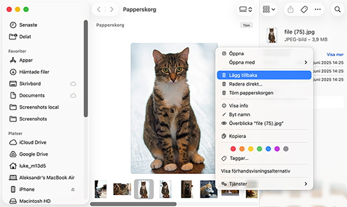 Återställ borttagna filer på Mac från papperskorgen via alternativet "Återlägg"