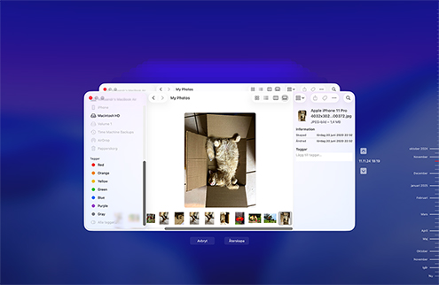 Återställ förlorade filer via Time Machine-säkerhetskopia