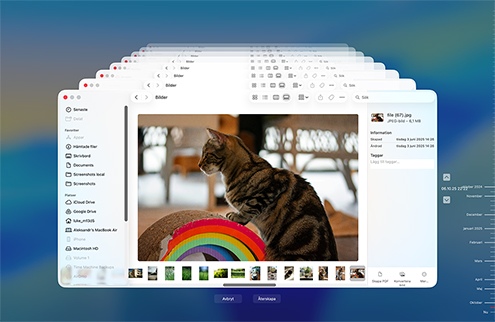 Återställ från en Time Machine-säkerhetskopia