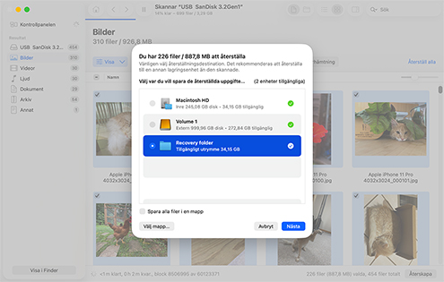 Återställ raderade filer på din Mac