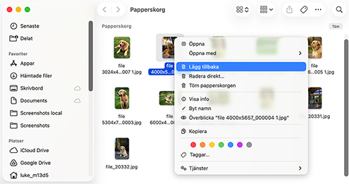 Återställa data från din Macs papperskorg