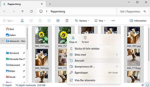 Bästa metoderna för att återställa raderade filer på Windows 11/10/8/7