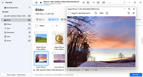 Förhandsgranska de hittade filerna