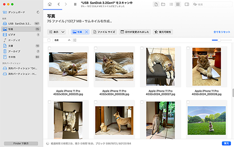 Macで削除されたファイルを復元するソフトウェア