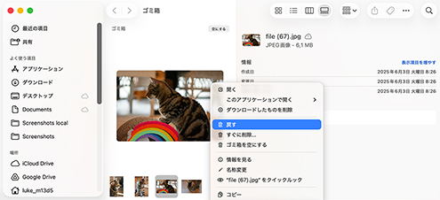 ゴミ箱の「元に戻す」オプションを使ってMacで削除されたファイルを復元する