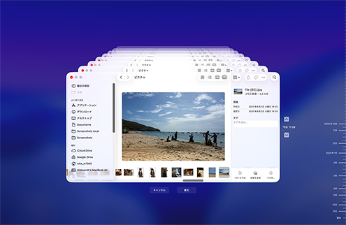 Time Machineバックアップを使って失われたファイルを復元する