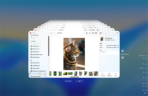 Time Machine バックアップから復元 Time Machine バックアップから復元