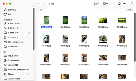 ソフトウェアを使わずにMacで削除されたファイルを復元する方法