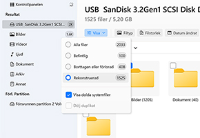 Kontrollera den rekonstruerade sektionen