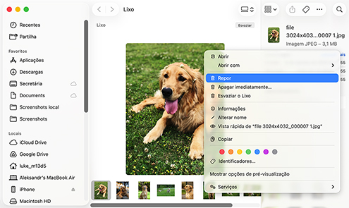 Recuperando Dados da Lixeira do Seu Mac