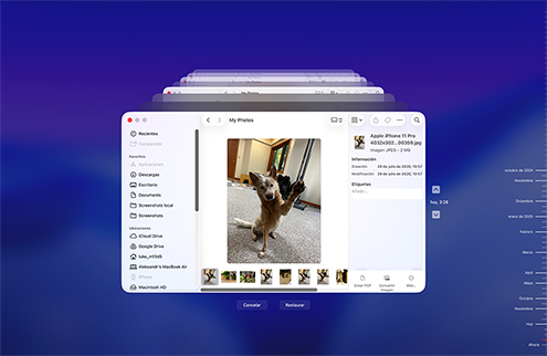 Restaurar archivos perdidos mediante copia de seguridad de Time Machine