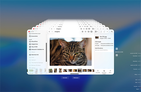 Restaurar de um Backup do Time Machine