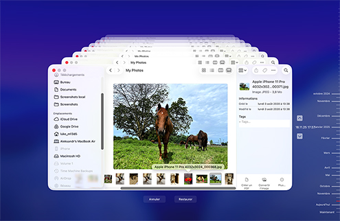 Restaurer les fichiers perdus via la sauvegarde Time Machine