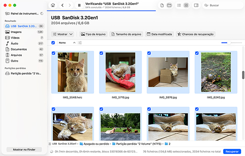 Revisar e Recuperar Dados Encontrados