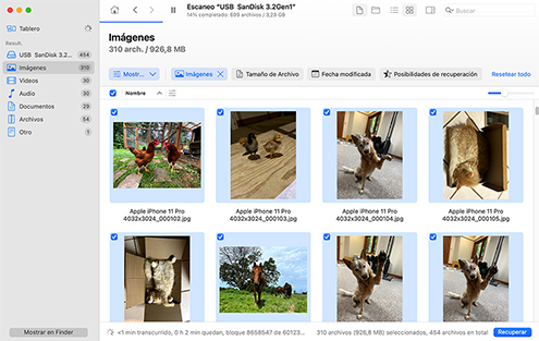 Selecciona tus archivos eliminados