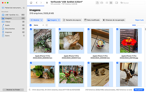 Selecione seus arquivos excluídos