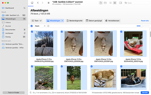 Selecteer uw verwijderde bestanden