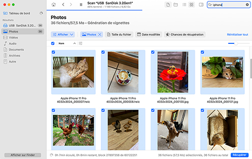 Sélectionnez vos fichiers supprimés