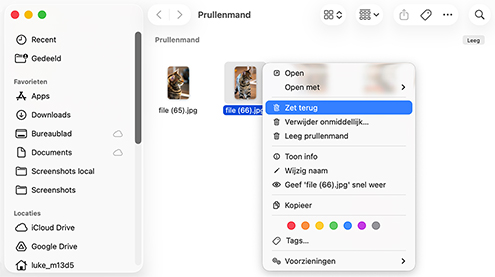 Verwijderde bestanden op een Mac herstellen uit de Prullenmand