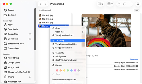 Verwijderde bestanden op Mac herstellen uit de Prullenbak via de optie "Terugzetten"