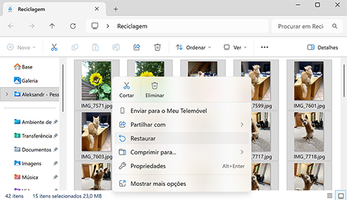Melhores Métodos para Recuperar Arquivos Excluídos no Windows 11/10/8/7