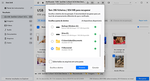 Recuperar os Arquivos Excluídos