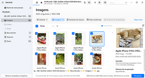 Selecione quais arquivos você deseja recuperar