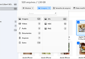 Use filtros para uma busca mais rápida ou para selecionar um tipo de arquivo específico