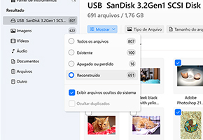 Verifique a seção Reconstruída