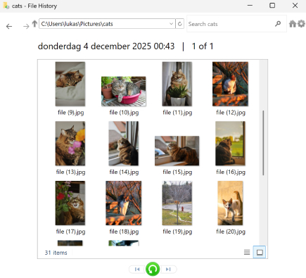 Bestandsgeschiedenis