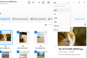 Administra los recuperables y busca dentro de los archivos encontrados.